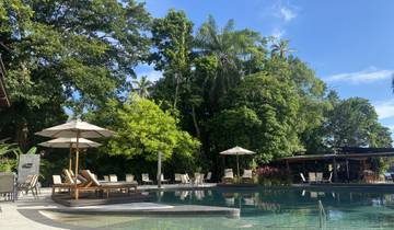Resort pool with deck chairs surrounded by trees