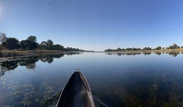 Canoe on a calm river with trees on the banks