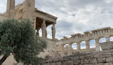 Acropolis structure with olive tree in the foreground.