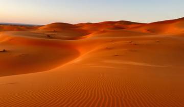 Golden dunes of a desert landscape