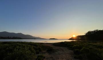 A lake with lush greenery during sunset.