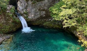 Clear blue water pool surrounded by rocks and trees.