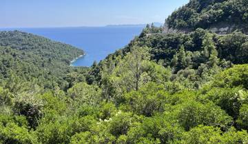 Forest and sea view from a high vantage point.