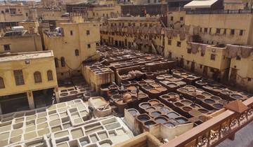 The Fes tannery with dyeing vats.