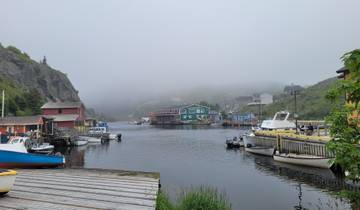 Picturesque harbor with colorful buildings and boats on a foggy day.