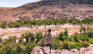 Person standing on a hill overlooking a desert village with palm trees.