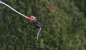 Person bungee jumping over a forested area.