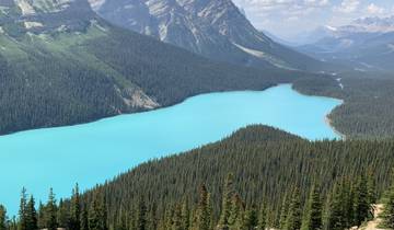 Turquoise river flowing through a heavily forested valley.