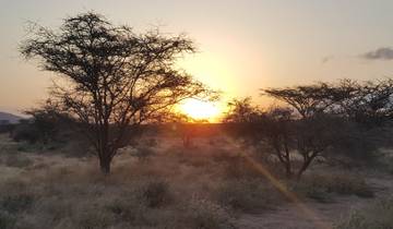 A picturesque sunrise over the African savannah.
