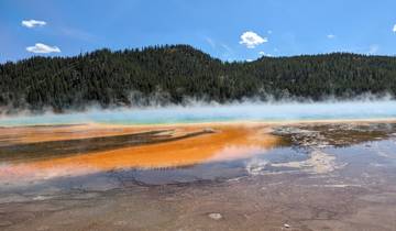 The colorful Grand Prismatic Spring with steam rising and a forested backdrop.