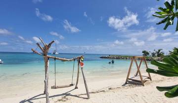 A beach scene with a wooden swing and clear blue waters.