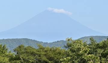 View of Mount Fuji with lush greenery in the foreground.