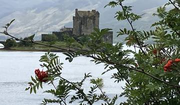 A view of an island castle in a lake, framed by leafy branches.