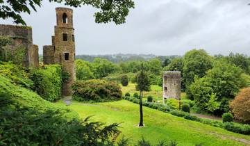 Ruined castle towers surrounded by lush greenery.