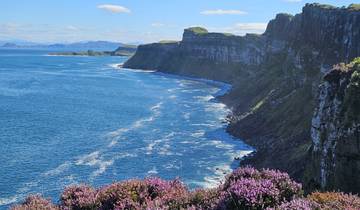 Coastal cliff view with ocean and vibrant flowers.
