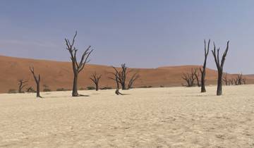 Desert landscape with dead trees and sand dunes.