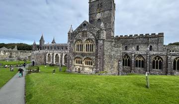 Gothic cathedral with lawn and pathways.