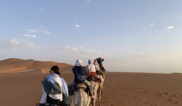 Camel caravan traversing a sandy desert landscape.