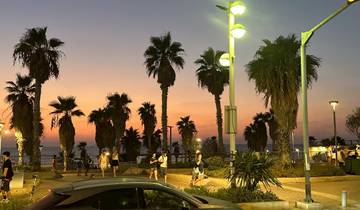 Seaside promenade at sunset with palm trees.