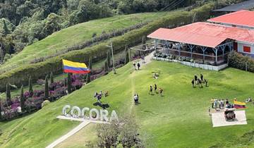 View of a park with a large Colombian flag and 'Cocora' sign.