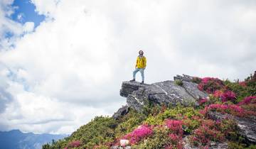 Person standing on a rocky peak with bright flowers around