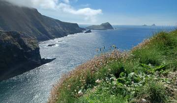 Scenic coastal cliffs with a clear blue sea and flowers in the foreground.