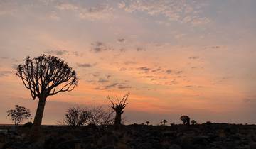 Sunset with silhouetted trees in a rocky landscape.