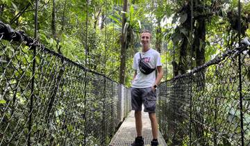 A person on a hanging bridge in a tropical forest.