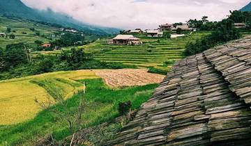Rice terraces with a house and mountainous landscape.