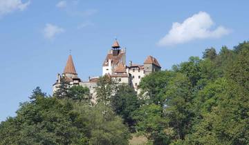 Castle on top of a hill surrounded by trees.