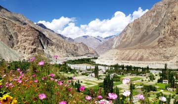 Colorful flower field with a mountainous backdrop.