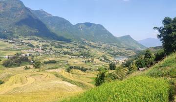 Panoramic view of rice terraces and hills.