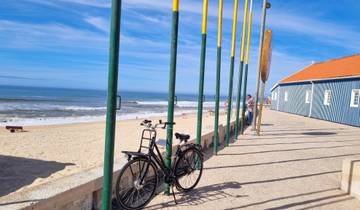 Bicycle parked on a seafront promenade.
