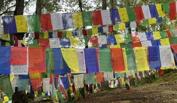 Colored prayer flags hanging in the forest.