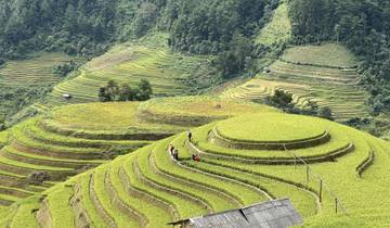 People walking along vibrant green terraced rice fields in a hilly landscape.