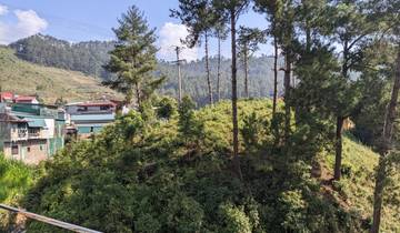 Landscape of trees and rooftops in a hilly area.