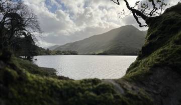 A scenic view of mountains and a lake framed by tree branches.