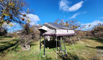 Elevated tent with ladder in a grassy field.
