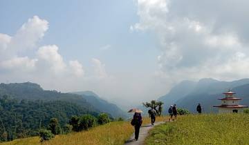 Group of hikers walking in a mountain landscape.