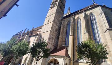 Historic church with tall stained-glass windows and trees in the foreground.