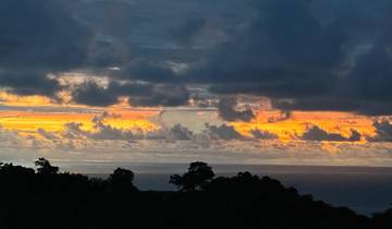 Colorful sunset over the ocean with silhouetted trees.