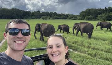 A couple smiling with a herd of elephants in a grassy field.