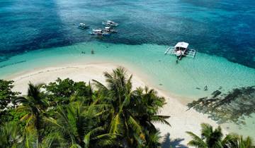 Aerial view of a beach with boats and palm trees.