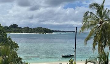 A scenic view of a tropical island with a palm tree and calm waters.