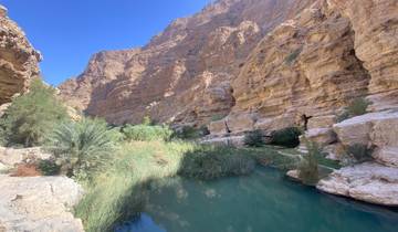 Serene wadi with lush greenery and turquoise water.