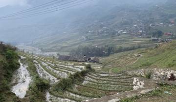 Terraced rice fields in a hilly landscape.