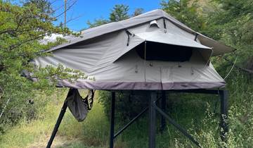 Elevated tent set up among greenery.