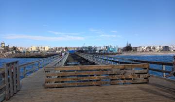 A wooden pier leading to the ocean with people walking on it and a town in the background.