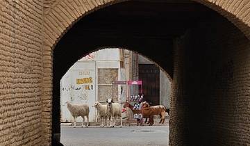 View through an archway to a street with sheep.