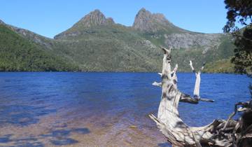 Mountain and lake view with a tree stump in the foreground.